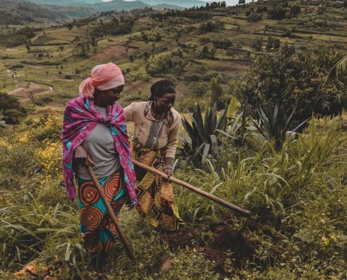 Sperathe cultivating her crops with neighbor